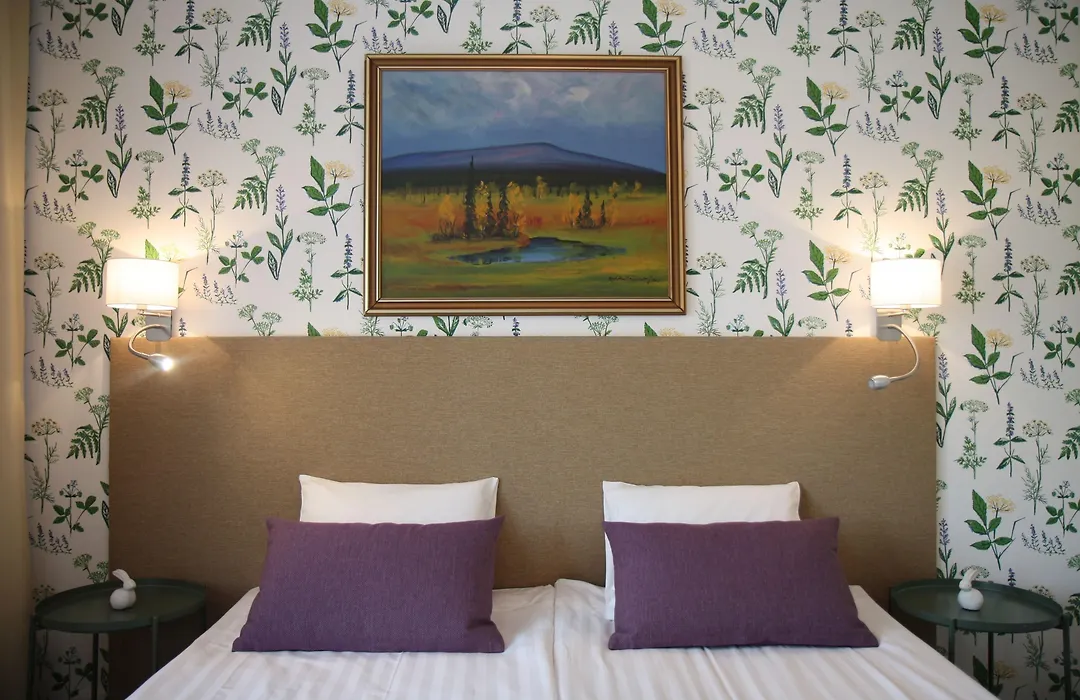 Hotel Aakenus-1